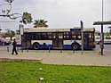 Bus Palermo